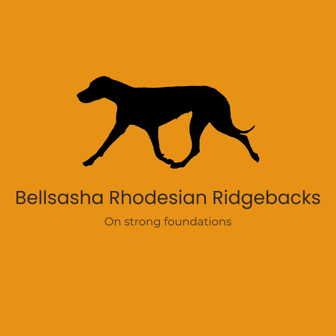 Bellsasha Rhodesian Ridgebacks